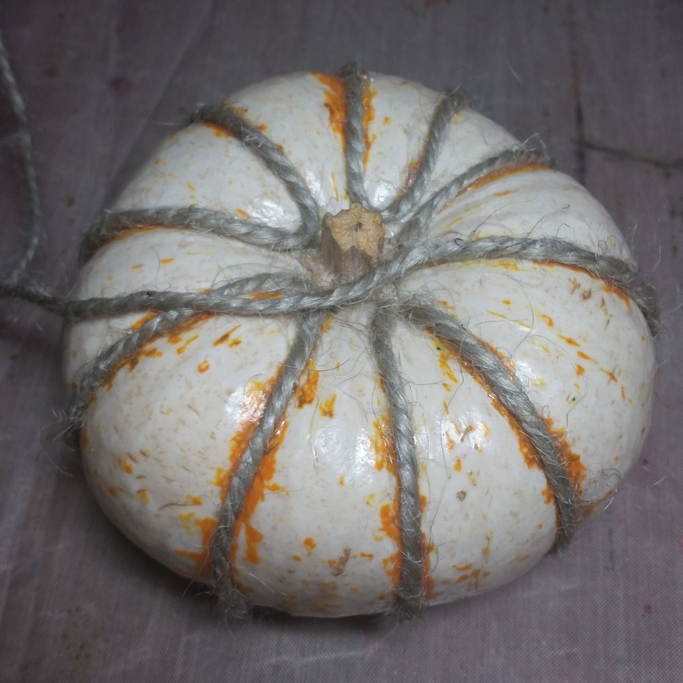 Top of pumpkin. Don't cut your rope yet!!