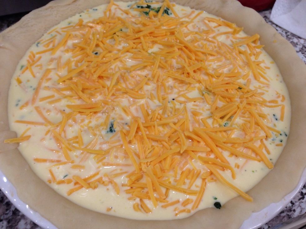 Top with any remaining cheese if you feel the need and bake it for about 40 minutes.