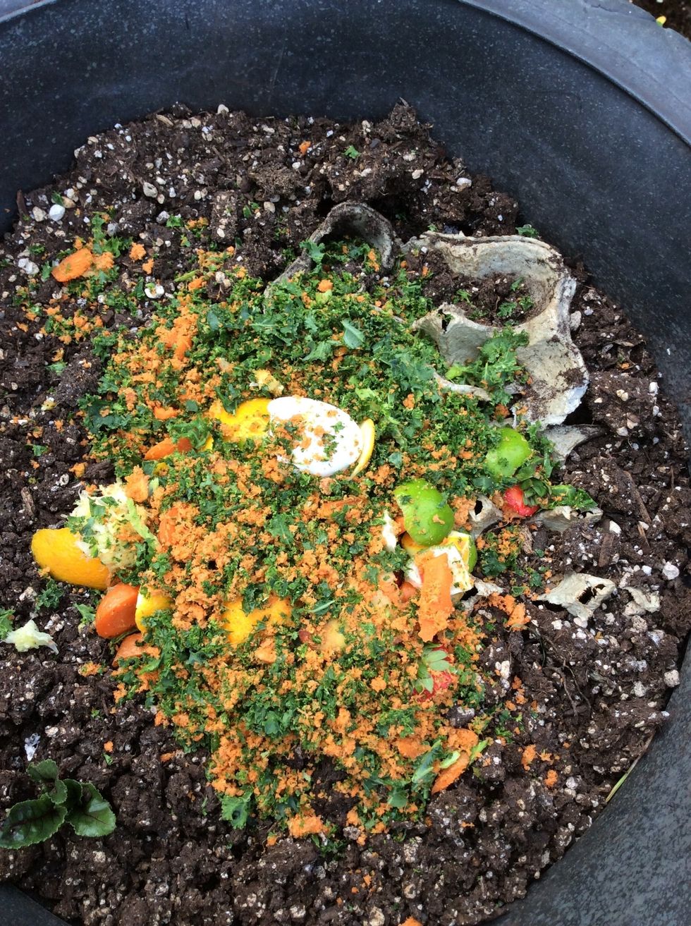Toss it all in your garden for wonderful, fast composting material!!