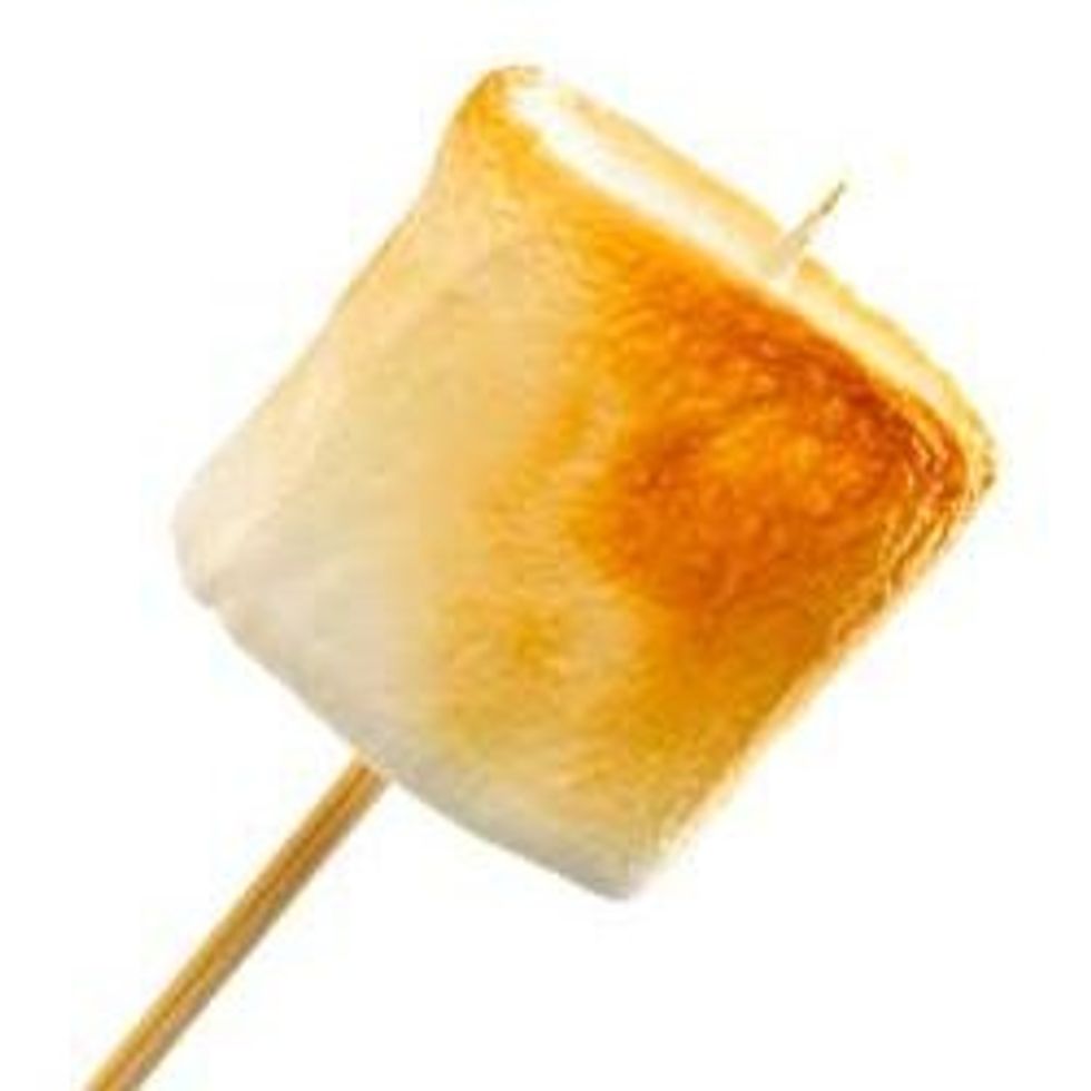 tost it entel it is brown.vuala a tosted morshmelo.