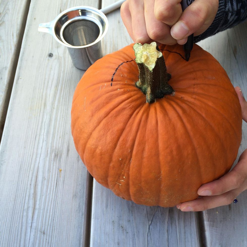 Trace another line INSIDE of the pencil line. You'll want a smaller hole for the infuser to fit into.