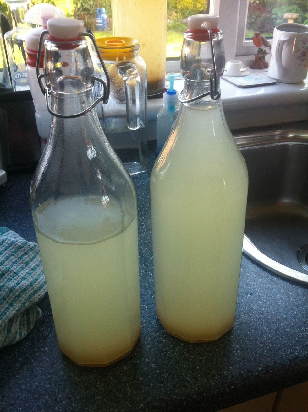 Transfer into bottles and place in fridge. We use a mixture of old Coke and lemonade bottles as well as this type of wire clip top bottles. QUITE A LARGE PRESSURE BUILDS UP SO BE CAREFUL WHAT YOU USE