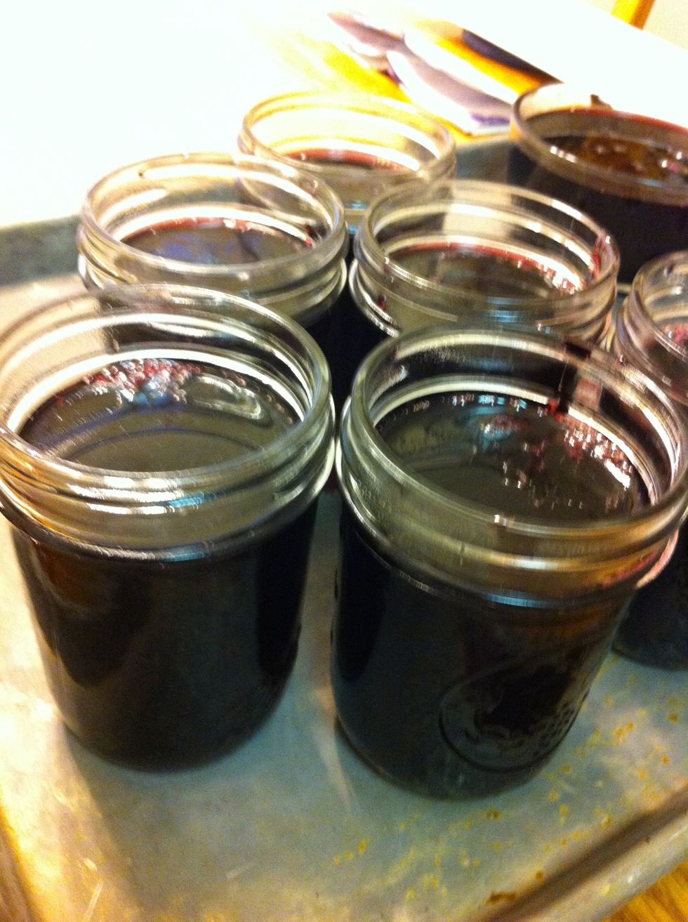 Transfer jelly to jars & let cool to room temperature before refrigerating. Let jelly set for 12-24 hrs. (I made a double-batch here. You may have some left over).