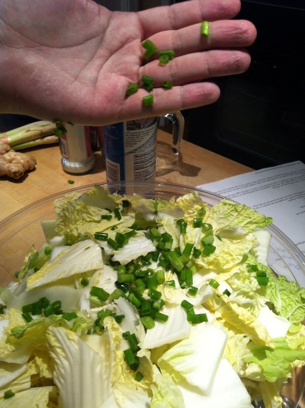Transfer pieces to a large bowl and toss with 2 T of the salt, the chili peppers, and the scallions.