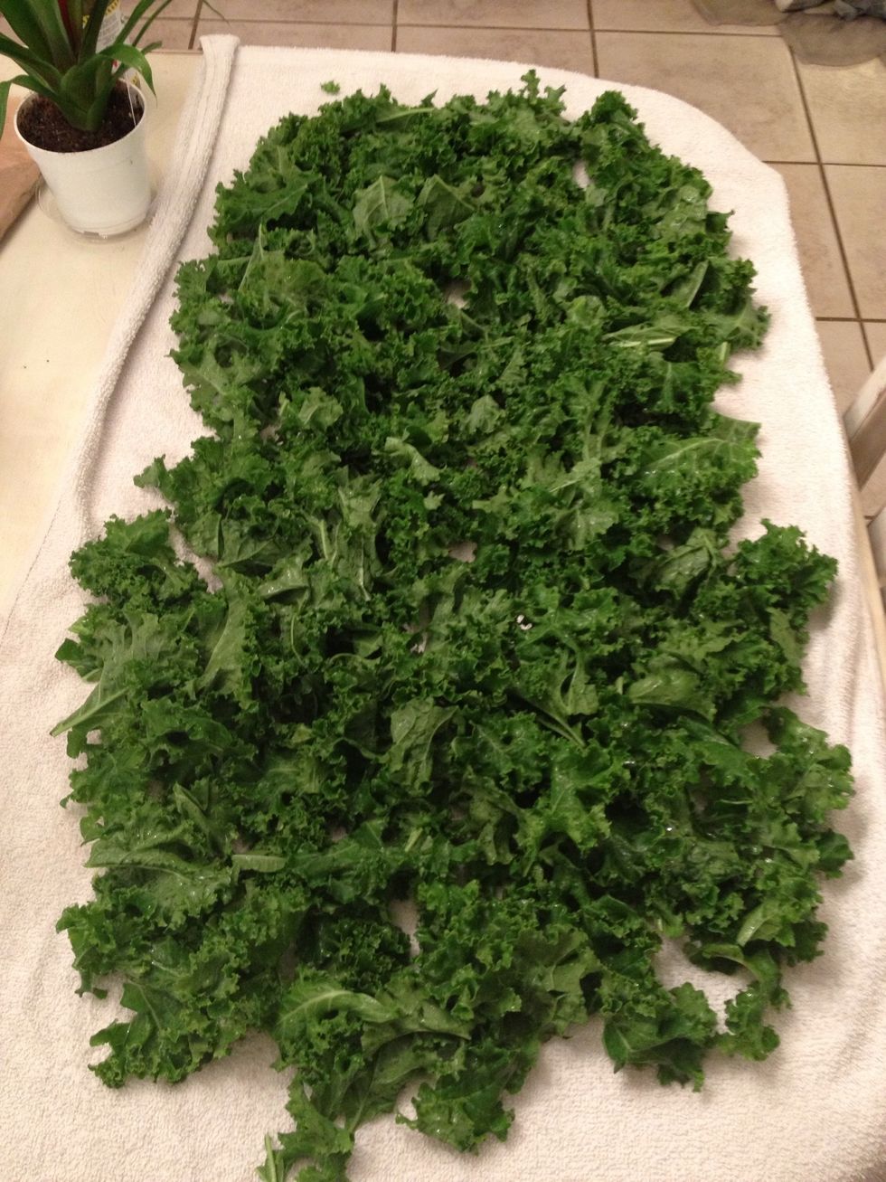Transfer the rinsed kale leaves to a clean towel. I have a few towels I use specifically just for drying fruit and veggies.