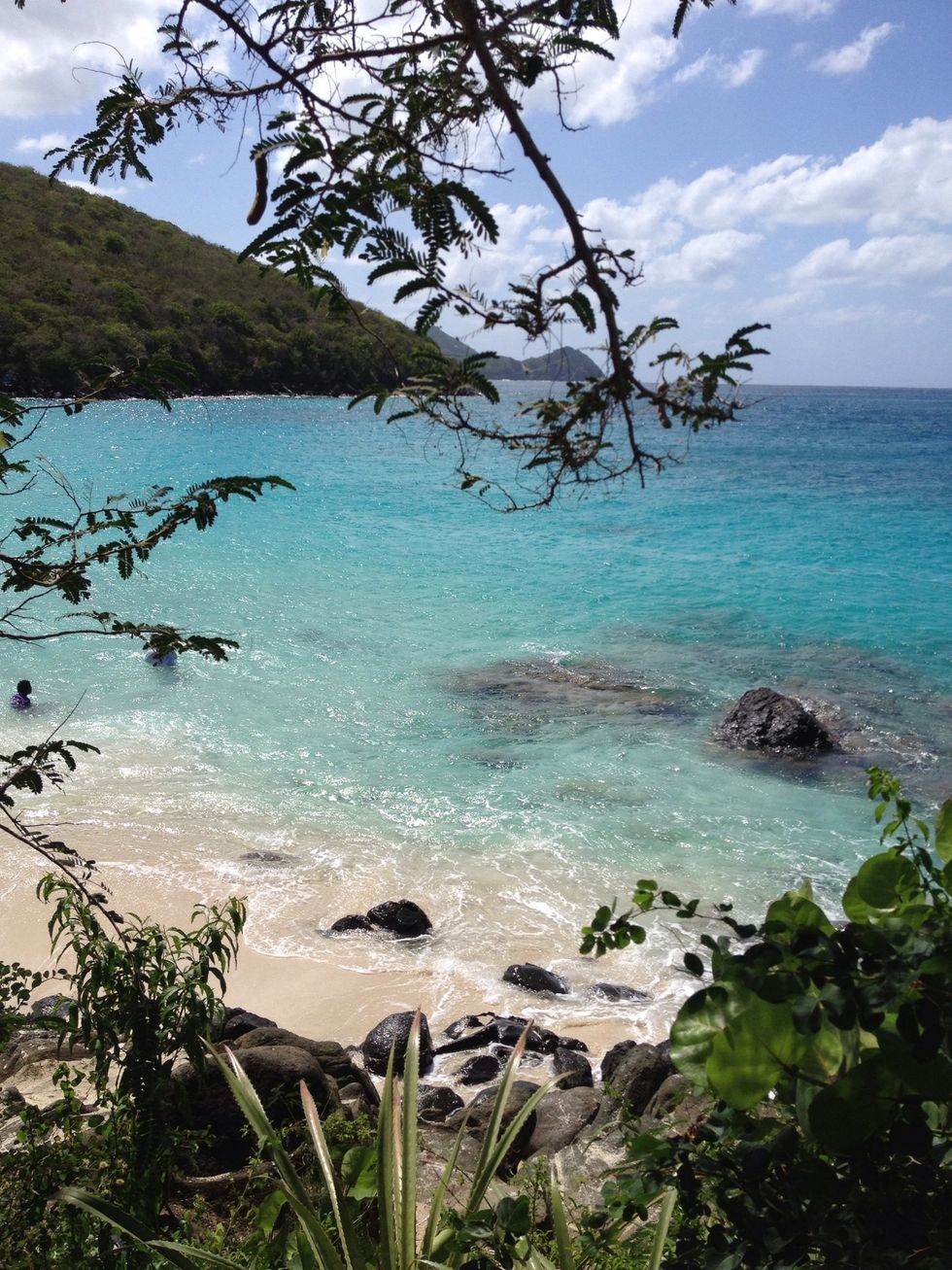 Travel somewhere warm and tropical.