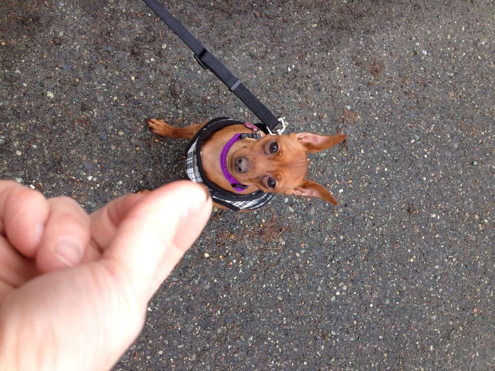 Treat for Samantha....