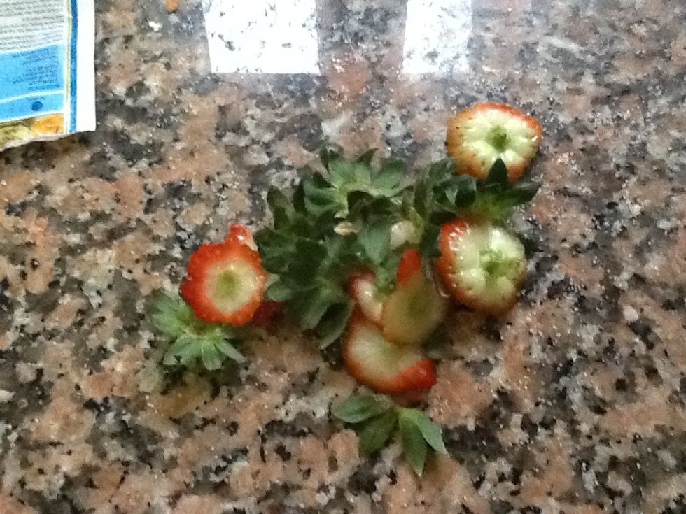 Treiem les fulles de les maduixes