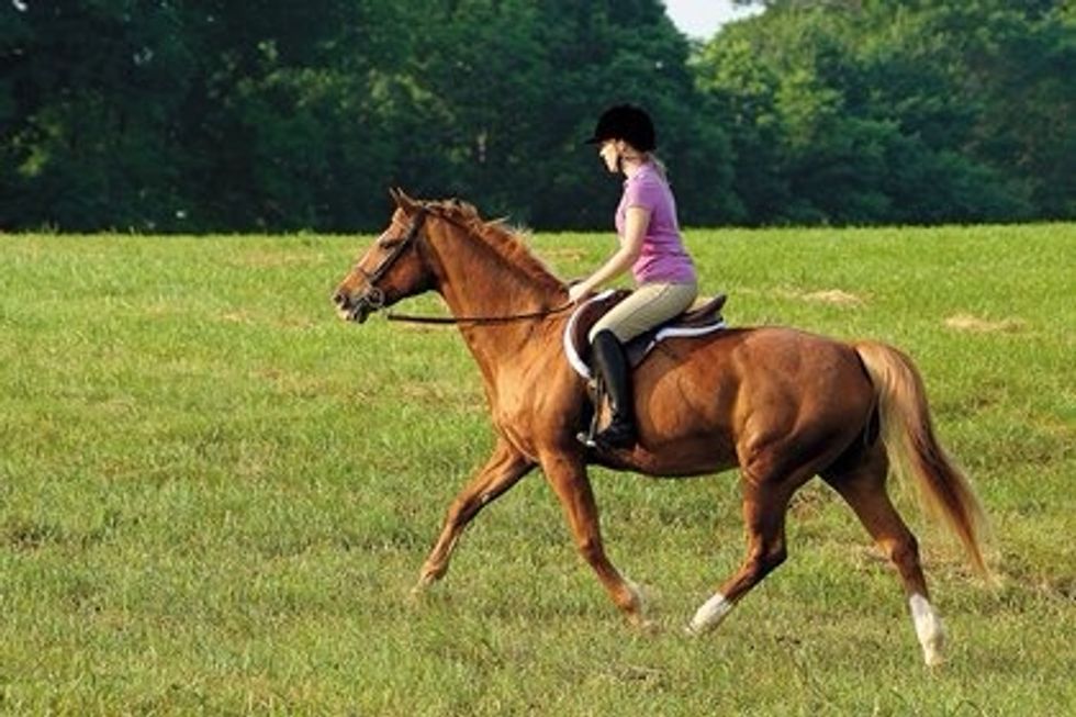 Trot up to the jump, or if you are experienced enough, canter