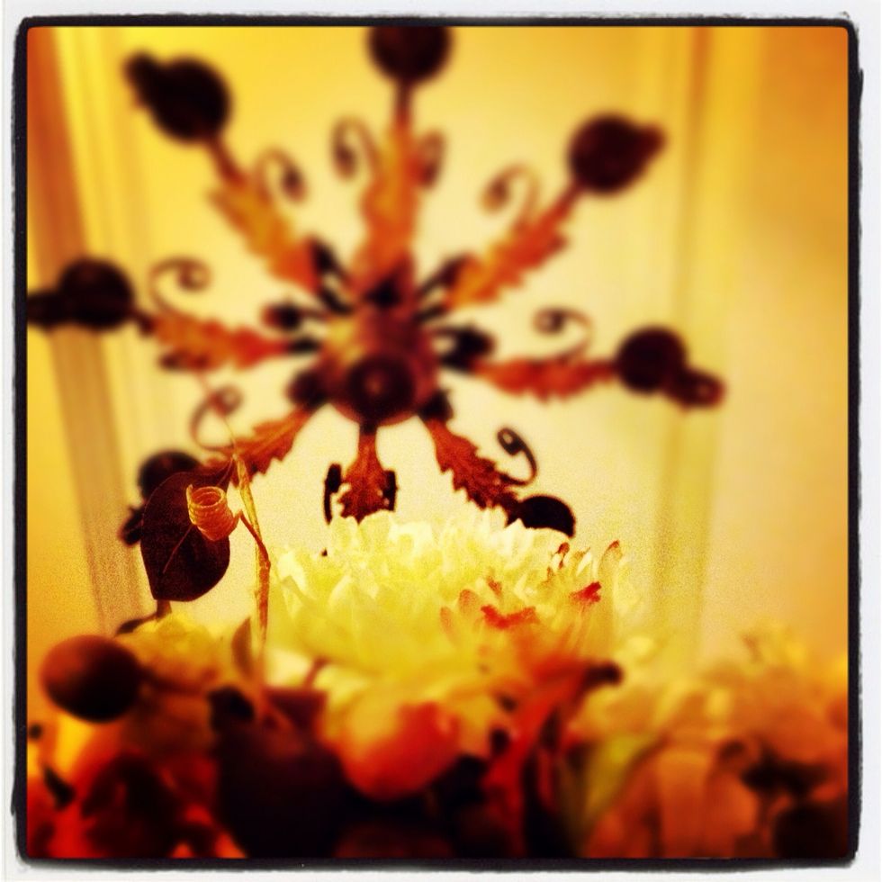 Try looking up at things.