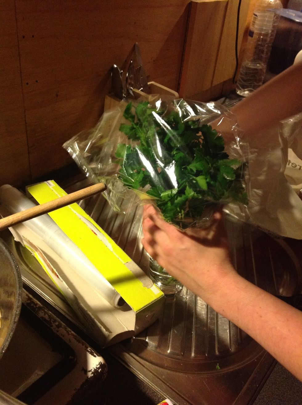 Try to make a weird bouquet of the rest of your parley and put it in the fridge (gf read somewhere that's the best way to keep it)
