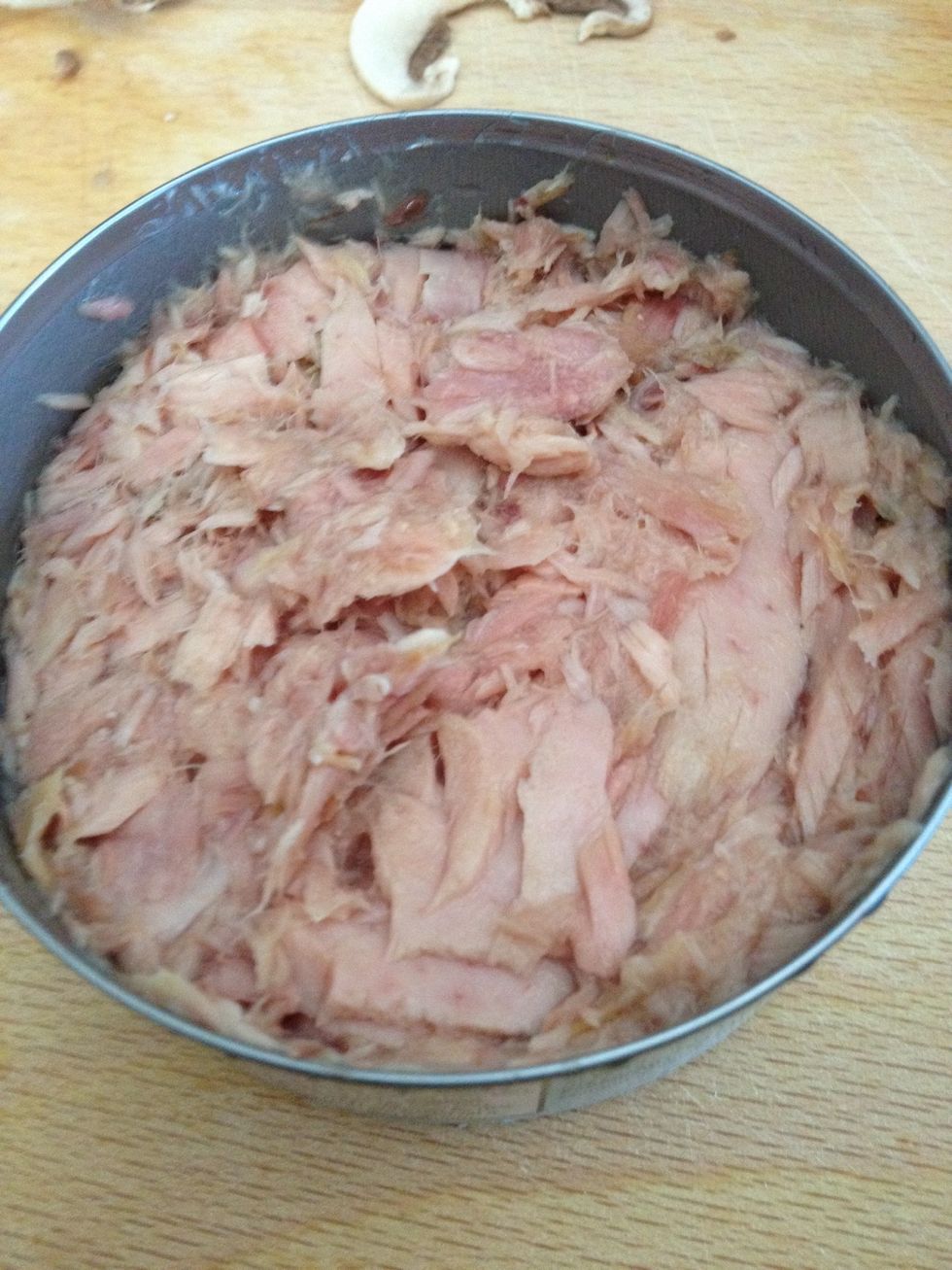Tuna flakes