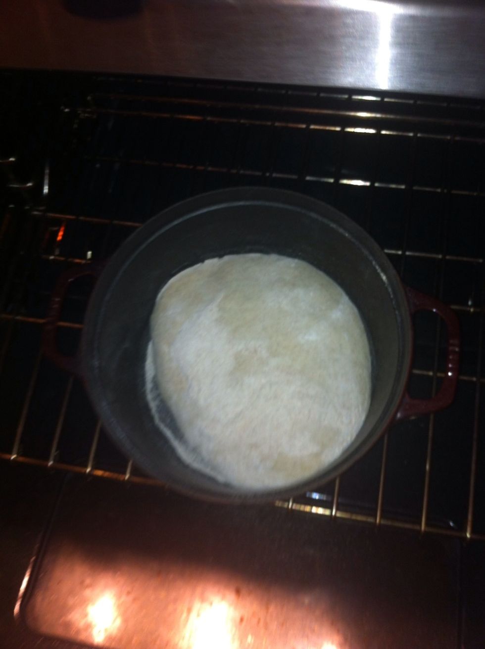 Turn out the loaf into the pan and the cut several slits in the top. Turn the oven to 450\u00b0 and put the top on the Dutch oven.