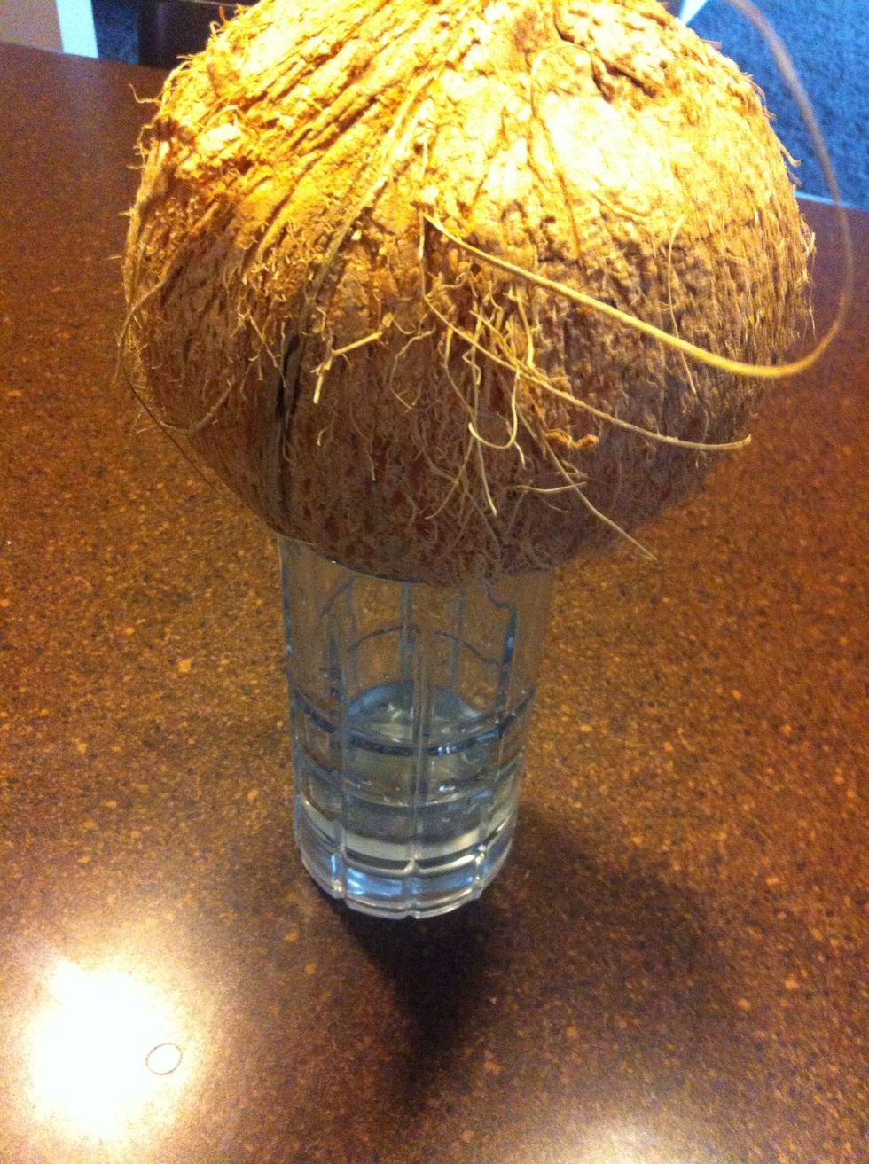 Turn the coconut upside down over a tall glass to drain the coconut water. Save the coconut water for a recipe, or drink it straight o over ice, it's packed with nutrients and hydrates your body.