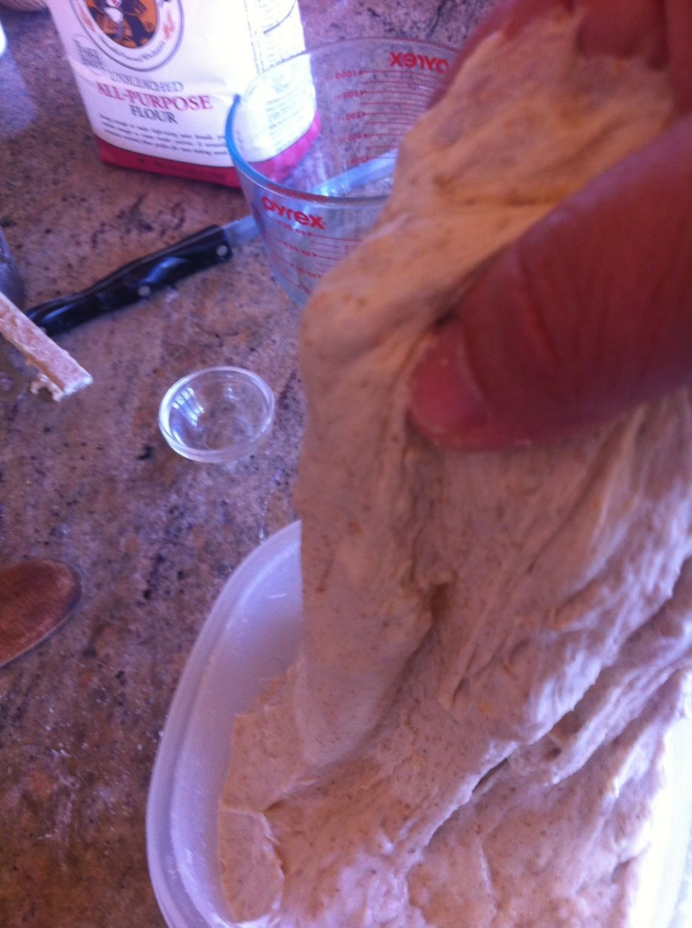 Turn the dough in the container, pulling it up and stretching it before folding it back in.