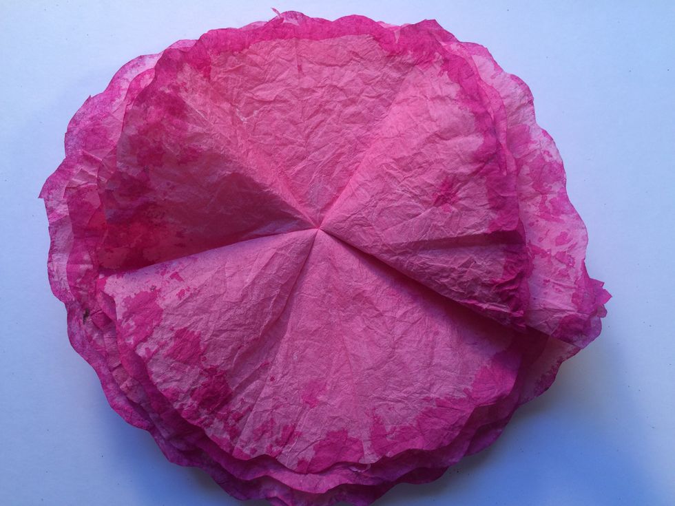 Turn the filters back over and flatten it down. It should look like this image...