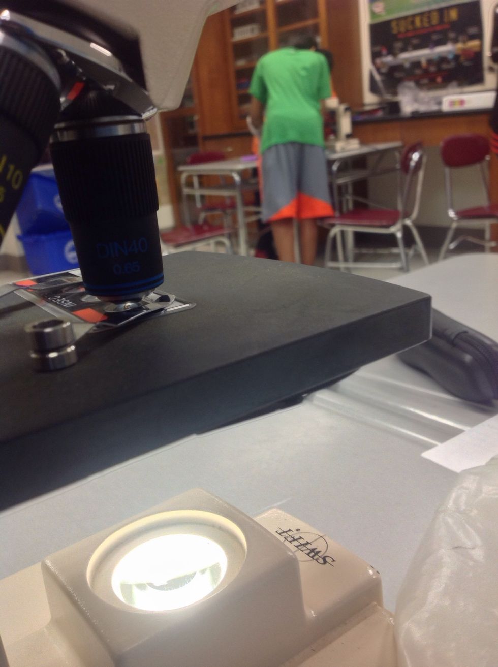 Turn the nose piece to the highest power and repeat the same focusing process you used for the medium power.