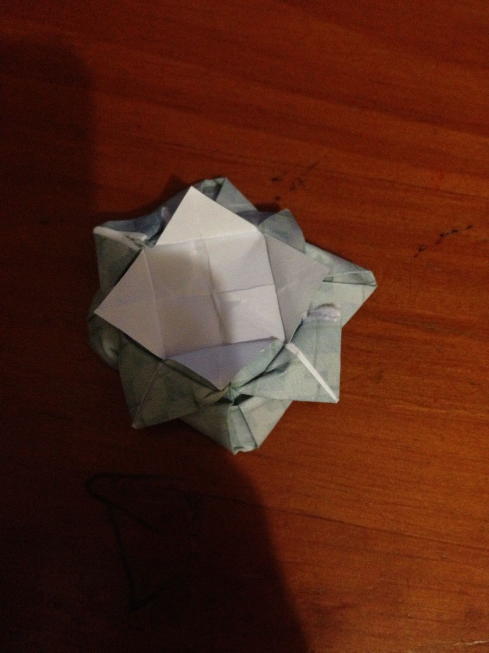 Turn the page over and fold the bottom four triangles out to make leaves