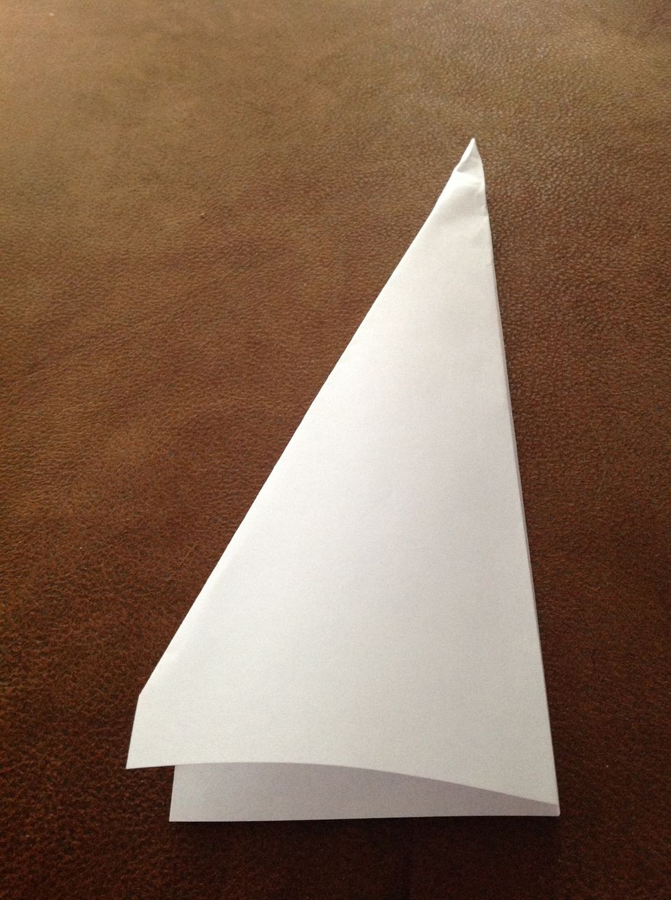 Turn the paper airplane over and fold it in half along the centerline.
