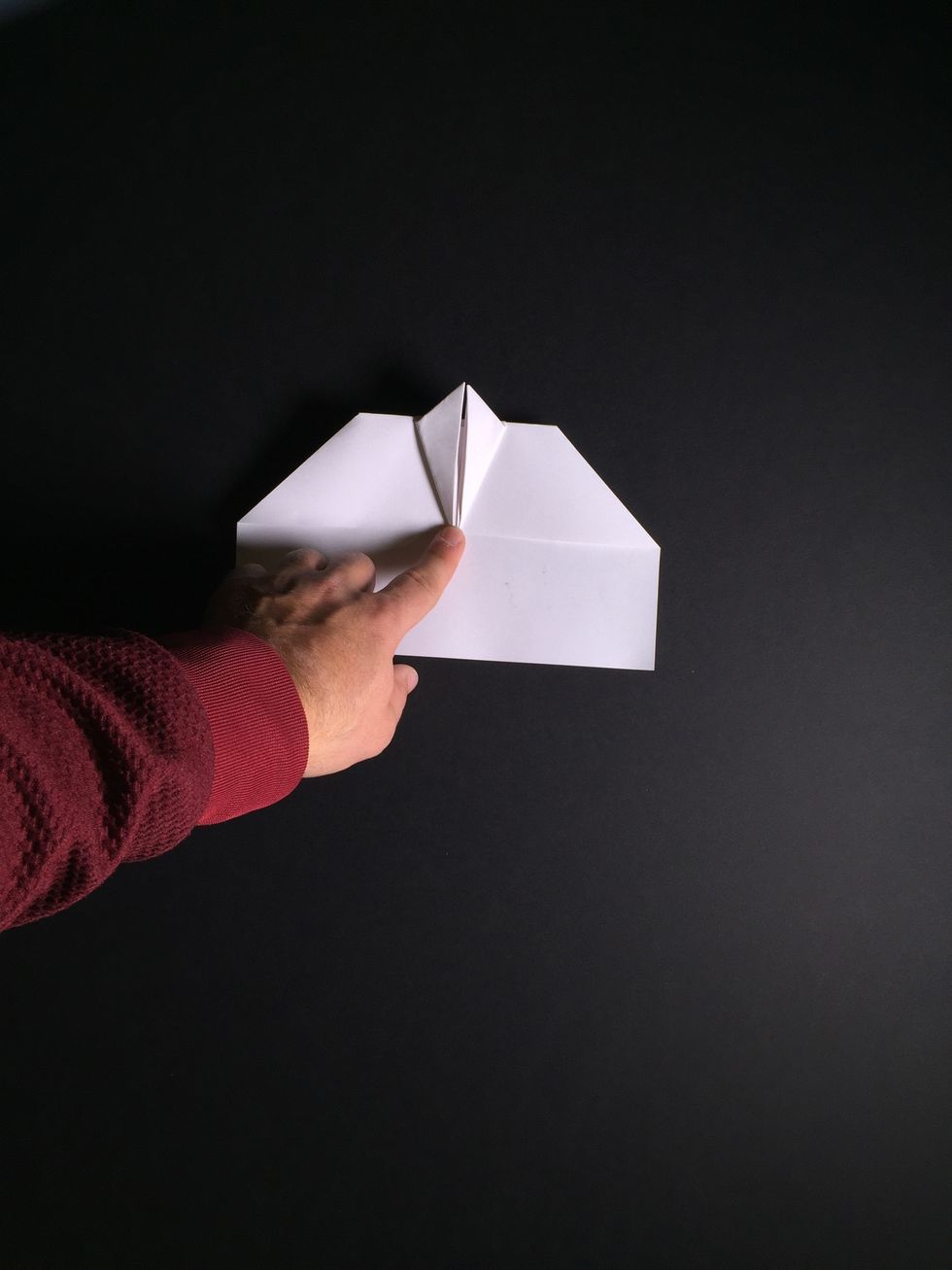 Turn the plane over again. The result should be similar to the photo.