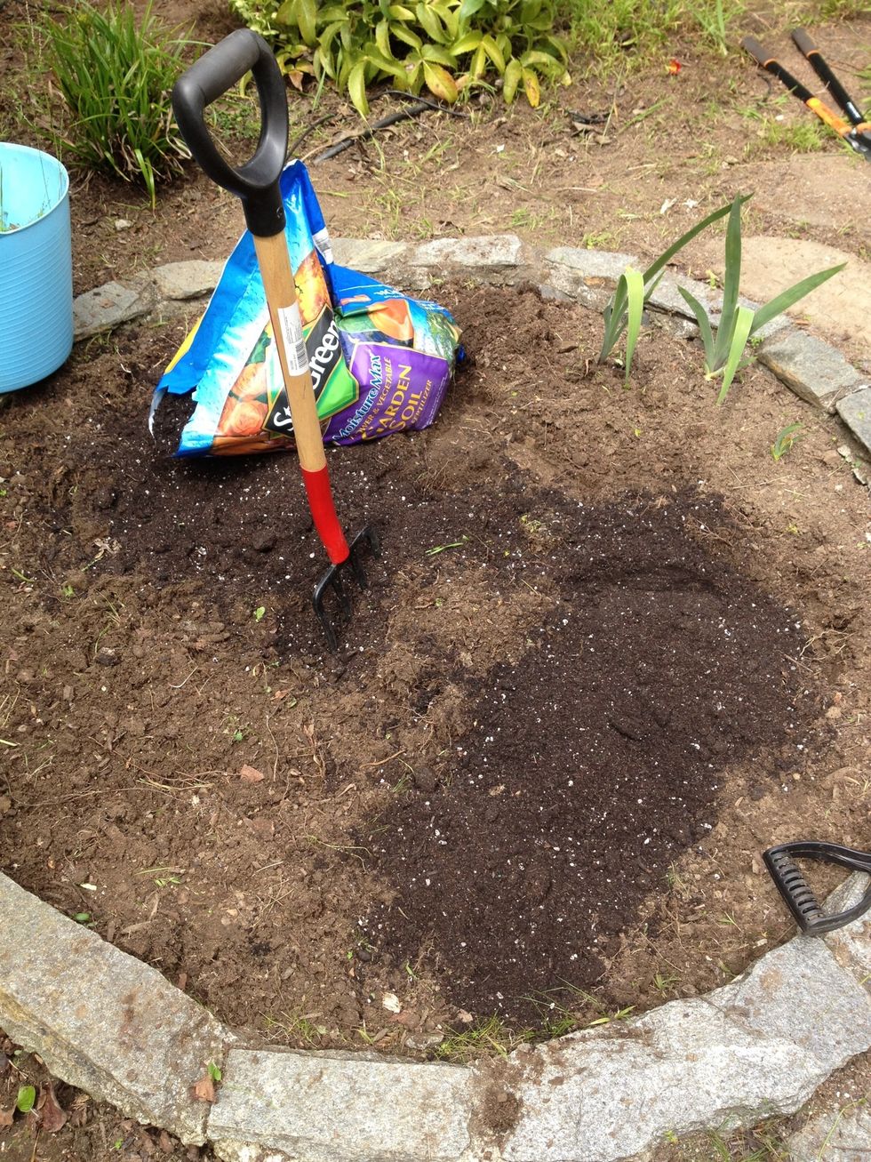 Turn the soil and mix in fresh soil to add nutrients.