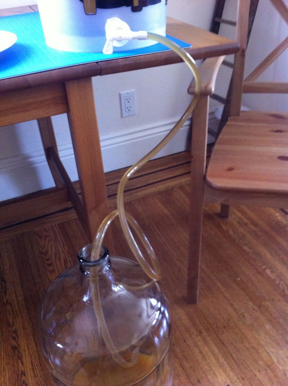 turn the spout on and start to transfer the beer into the carboy. catch the first glimpse of your creation young pharos.