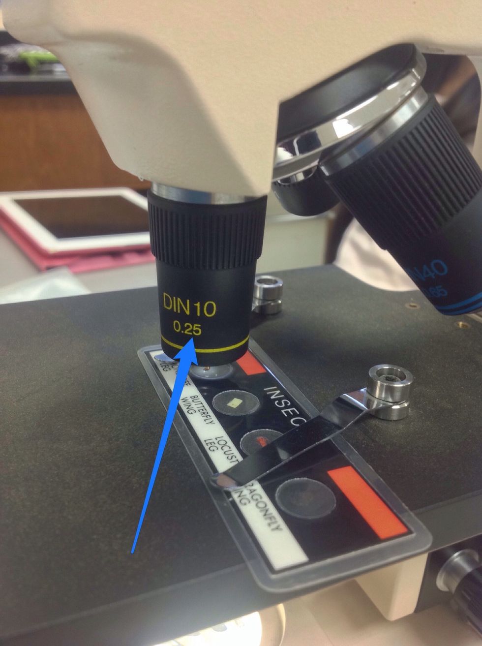 how-to-focus-a-compound-light-microscope-b-c-guides