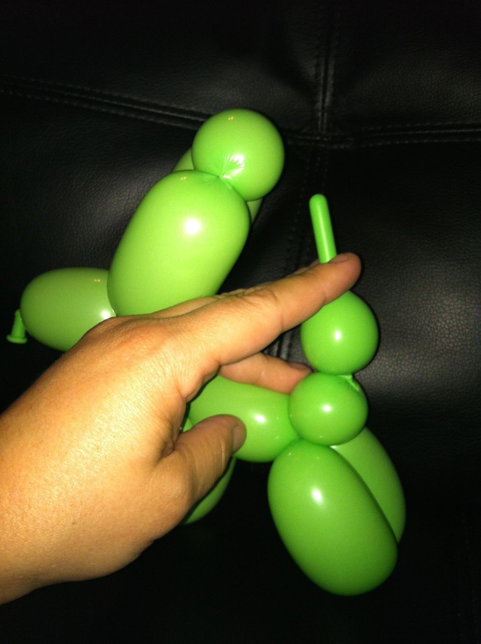 Twist the tail in half- making sure to leave a bubble against back legs to hold it together (and be the back end)