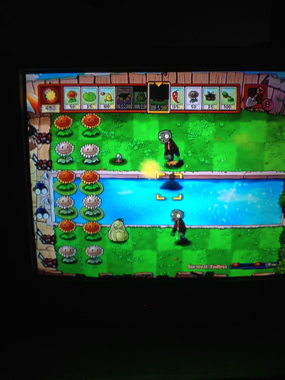 Two rows of sunflowers, but make sure you have some squash and potato mines to give you some time to plant your sunflowers.