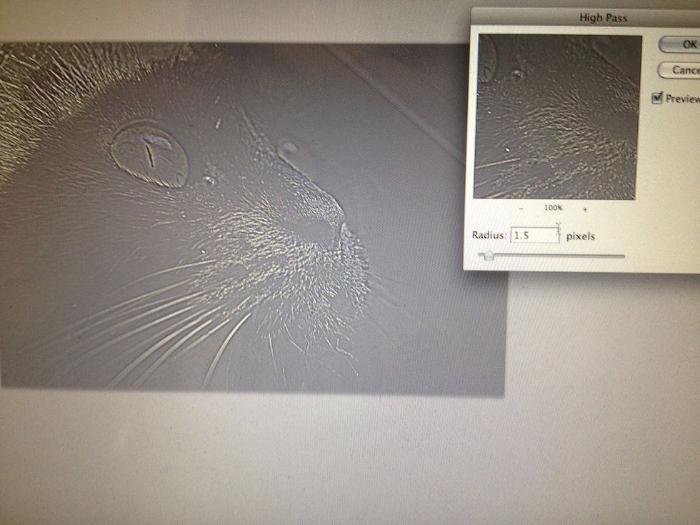 Type in 1.5 for your radius. Now your image should almost look metal. Like so.