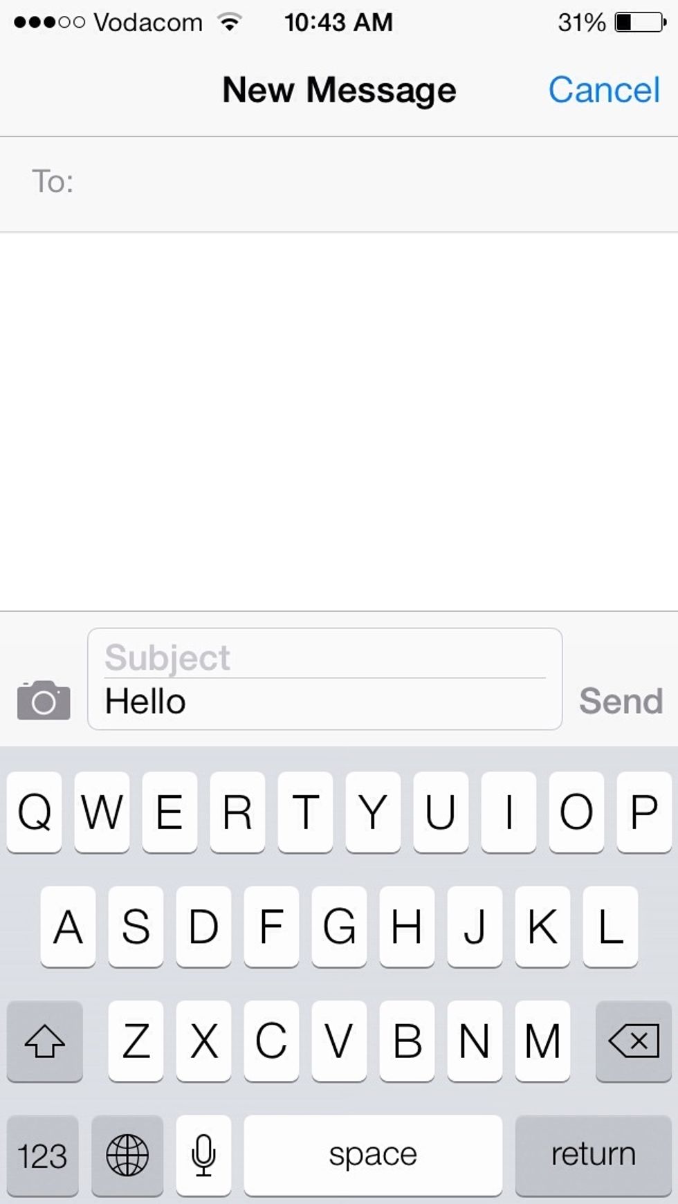 Type whatever you need to. If you made a mistake and you want to delete what you typed just shake your iPhone.