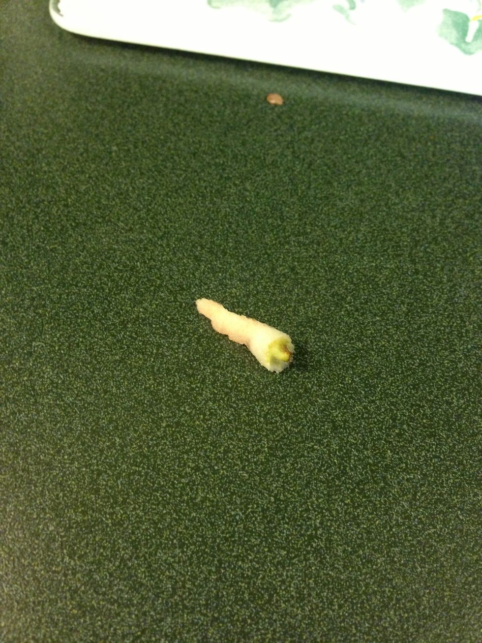 Typically, the whole pith will come out with it.