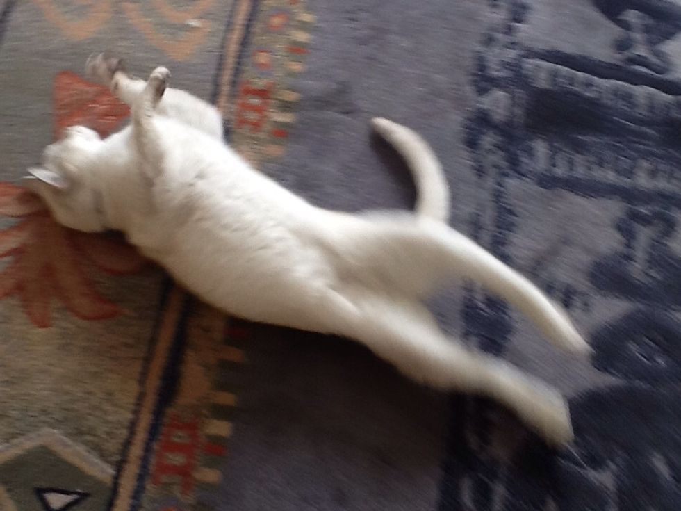 U gotta ROLL WITH IT!!!