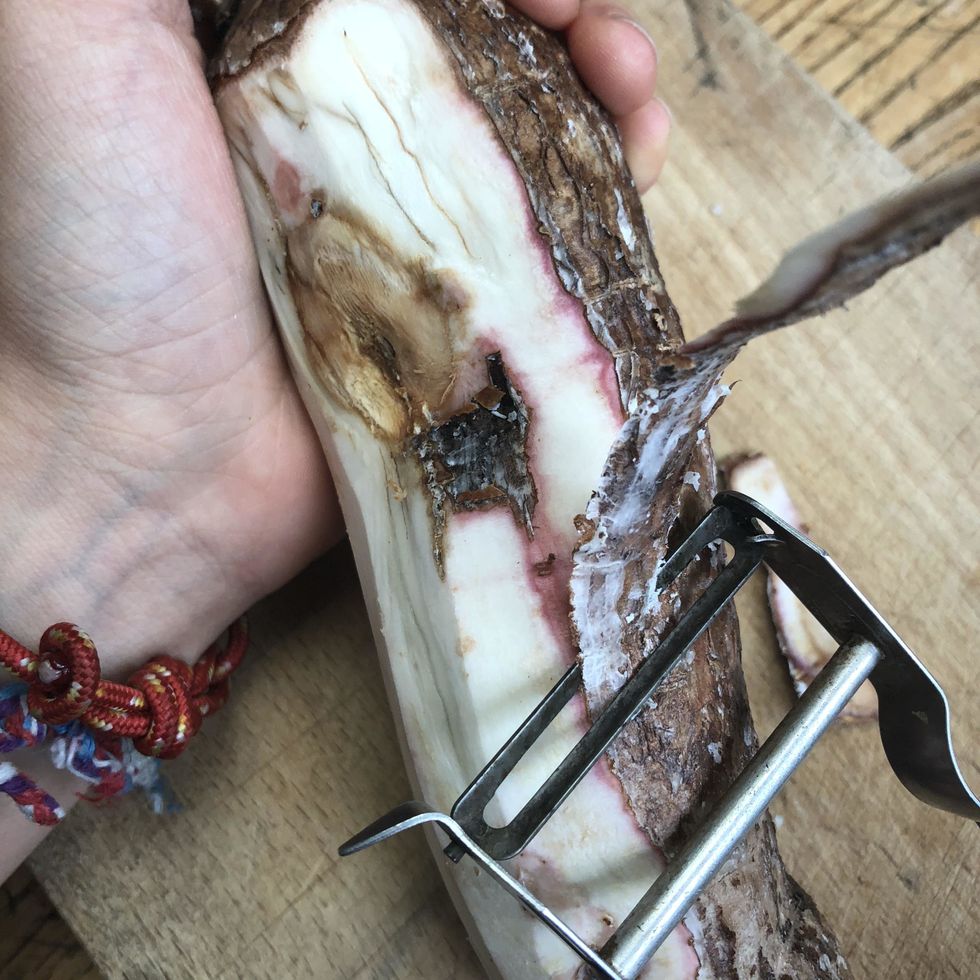 \u00c9plucher le tubercule de manioc.