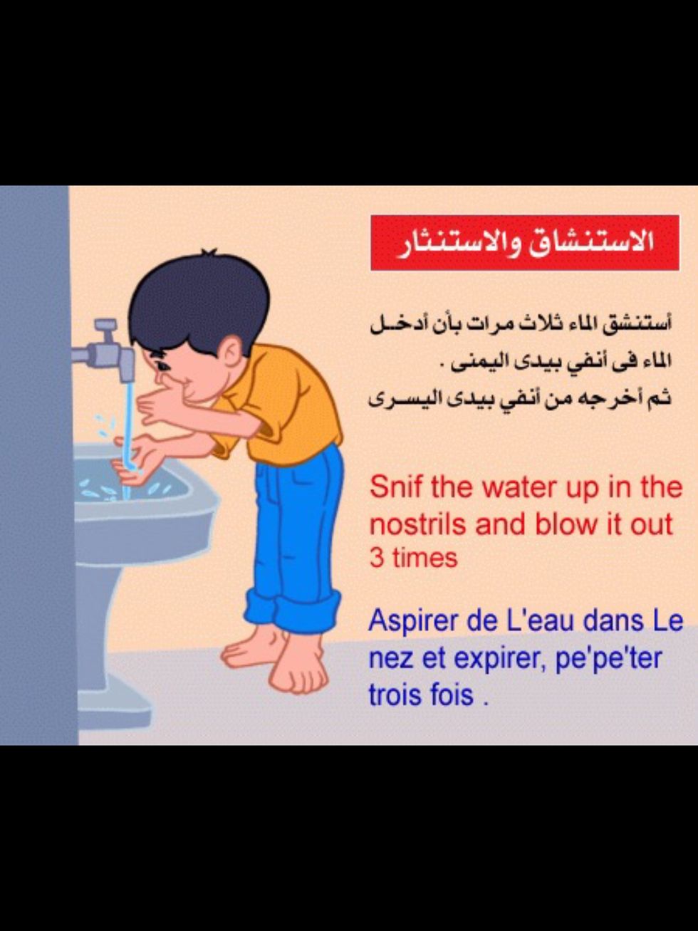 \u0627\u0644\u0627\u0633\u062a\u0646\u0634\u0627\u0642 \u0648\u0627\u0644\u0627\u0633\u062a\u0646\u062b\u0627\u0631