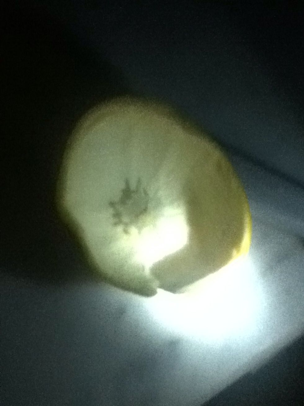 \u0628\u0639\u062f \u0645\u0627 *\u0634\u0644\u0646\u0627* \u0627\u0644\u0642\u0634\u0631 \u0639\u0646 \u0627\u0644\u0628\u0631\u062a\u0642\u0627\u0644\u0629 \u0627\u0635\u0628\u062d\u062a \u0628\u0647\u0630\u0627 \u0627\u0644\u0634\u0643\u0644 after we removed the chaff about the onrange became like this