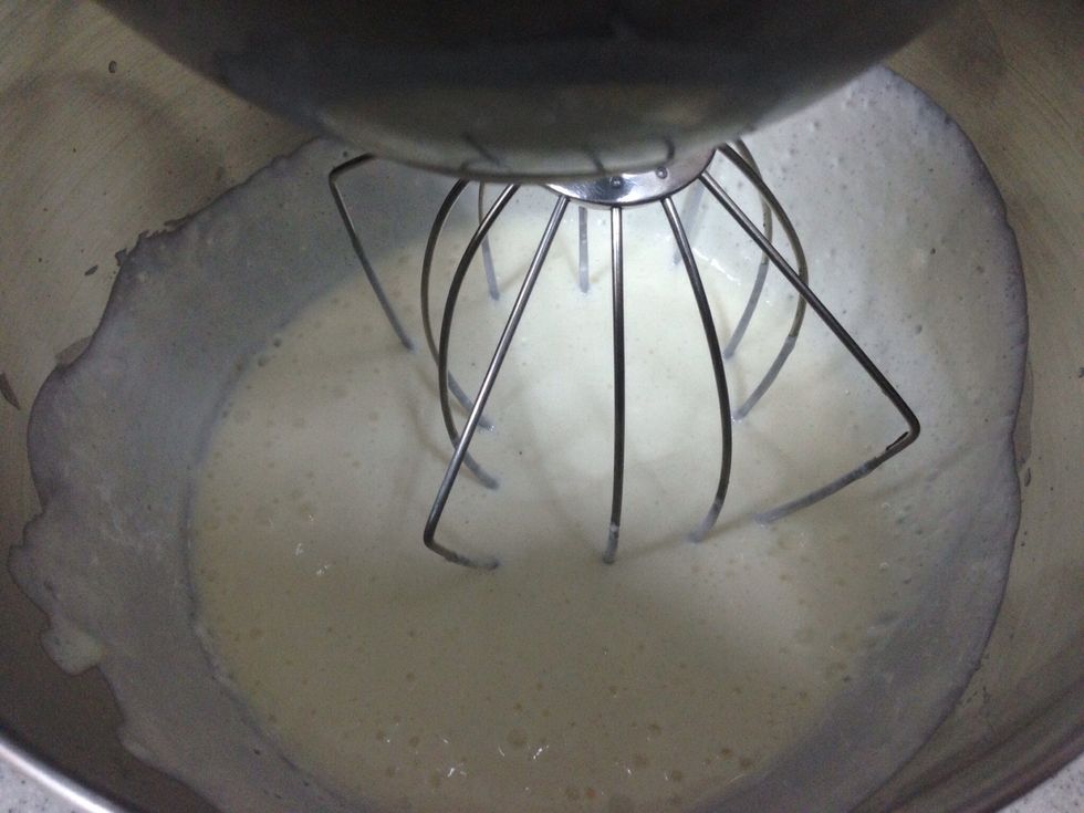 \u0648\u062a\u062e\u0644\u0637 \u062c\u064a\u062f\u0627 \u062d\u062a\u064a \u062a\u0635\u0628\u062d \u0645\u062a\u062c\u0627\u0646\u0633\u0629 \u0648\u0644\u064a\u0633 \u0628\u0647\u0627 \u0627\u064a \u0642\u0637\u0639 \u062c\u0628\u0646 \u0635\u0644\u0628\u0629 And mix it well to become like a cream