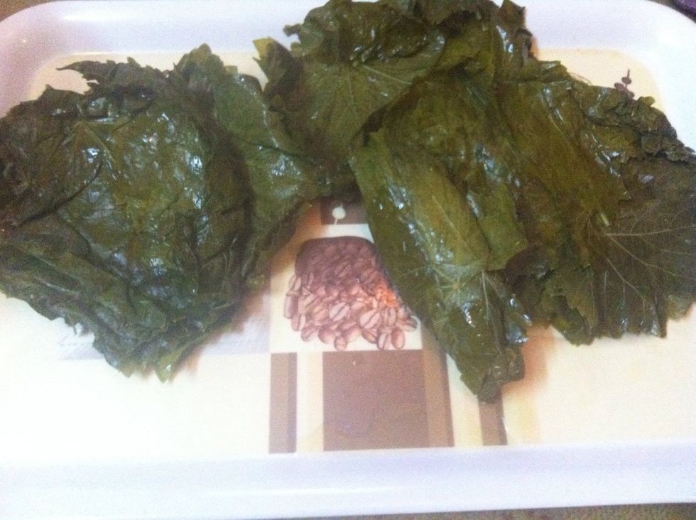 \u0648\u0646\u0628\u062f\u0627 \u0646\u0644\u0641 \u0648\u0631\u0642 \u0627\u0644\u0639\u0646\u0628 \u0646\u0641\u0633 \u0627\u0644\u0635\u0648\u0631