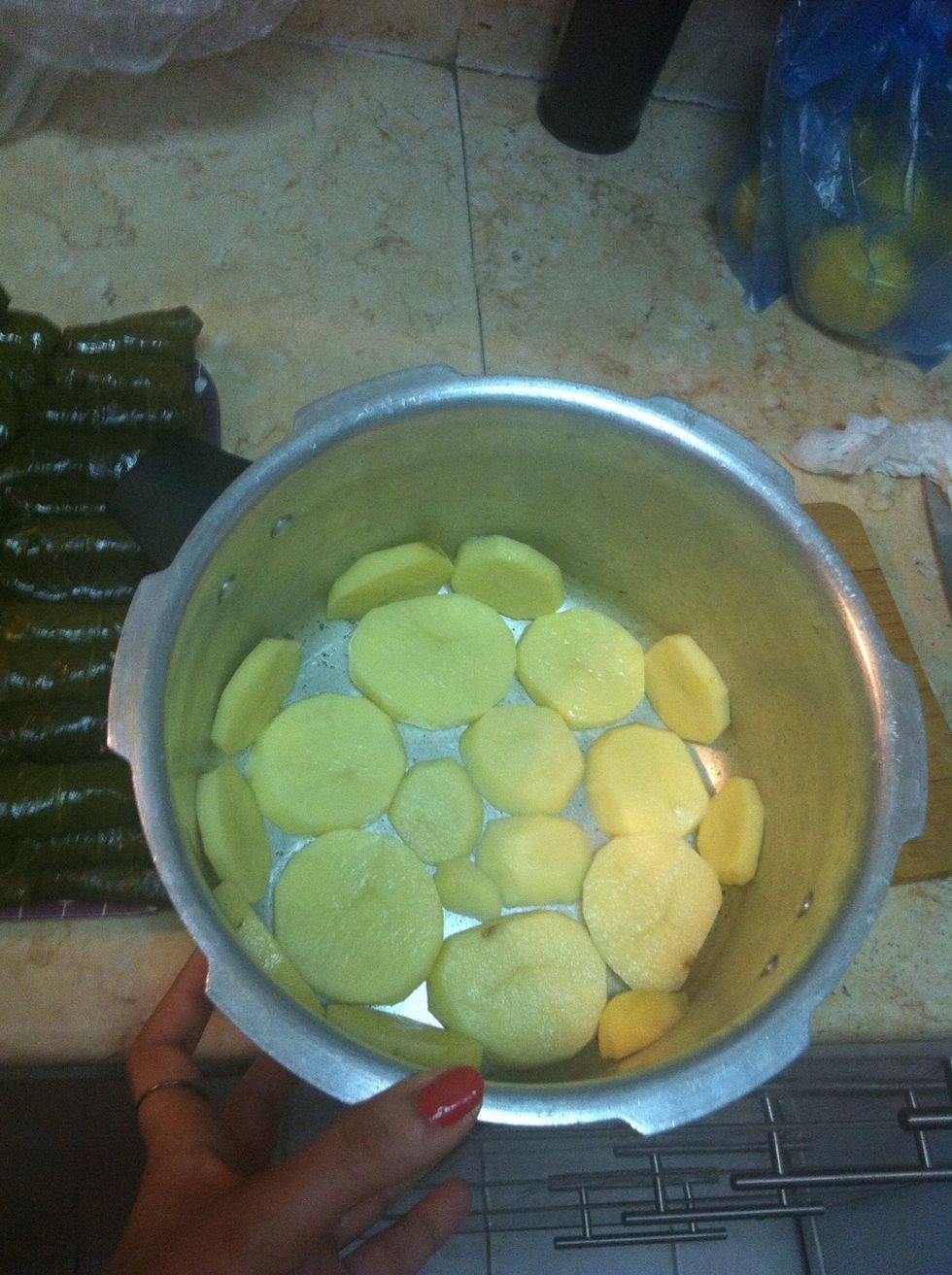 \u0648\u0646\u0631\u0635\u0647\u0627 \u0628\u0627\u0644\u0642\u062f\u0631