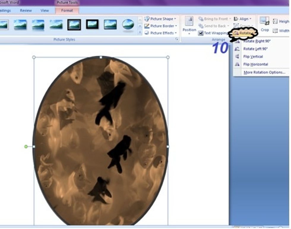 \u0648\u0647\u0646\u0627 \u0646\u0633\u062a\u0637\u064a\u0639 \u062a\u062f\u0648\u064a\u0631 \u0627\u0644\u0635\u0648\u0631\u0629 \u0644\u0644\u064a\u0645\u064a\u0646 \u0623\u0648 \u0644\u0644\u064a\u0633\u0627\u0631