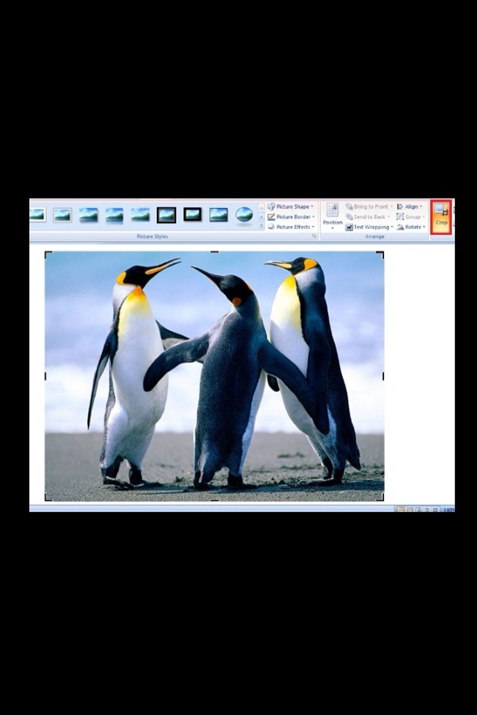 \u0667. \u0628\u0639\u062f \u0627\u0633\u062a\u064a\u0631\u0627\u062f \u0627\u0644\u0635\u0648\u0631\u0647 \u064a\u0645\u0643\u0646\u0646\u0627 \u0627\u0644\u062a\u0639\u062f\u064a\u0644 \u0639\u0644\u064a\u0647\u0627 \u0648\u0644\u0642\u0635 \u0627\u0644\u0635\u0648\u0631\u0647 \u0648\u0648\u0636\u0639\u0647\u0627 \u0628\u0627\u0644\u062d\u062c\u0645 \u0627\u0644\u0645\u0646\u0627\u0633\u0628 \u0646\u062e\u062a\u0627\u0631 ( croup)