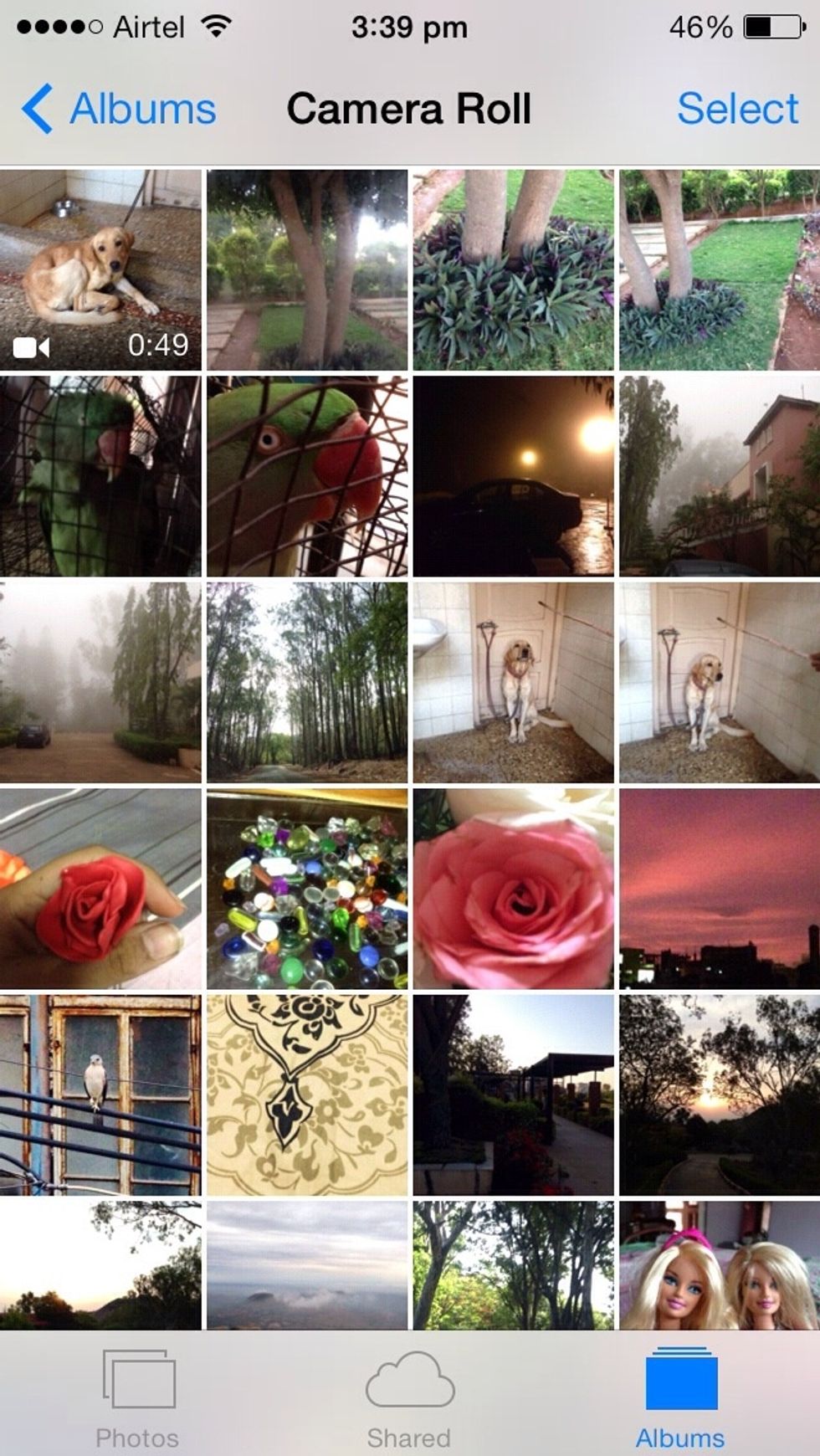 \u27a1\ufe0fgo to photos \u27a1\ufe0f camera roll