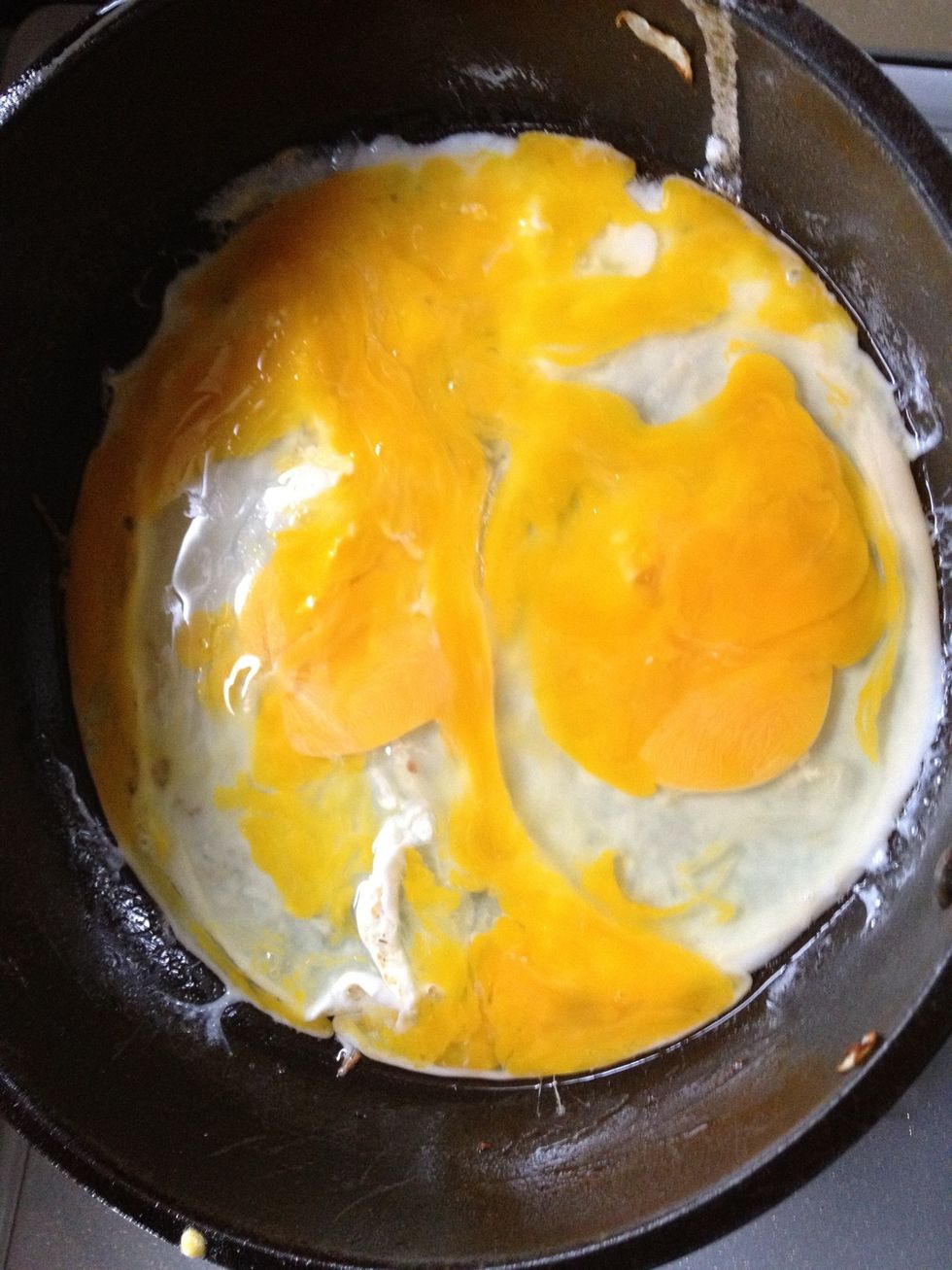 \u3053\u3093\u306a\u5177\u5408\u306b\u9ec4\u5473\u3092\u6f70\u3057\u3066\u819c\u72b6\u306b\u5e83\u3052\u308b