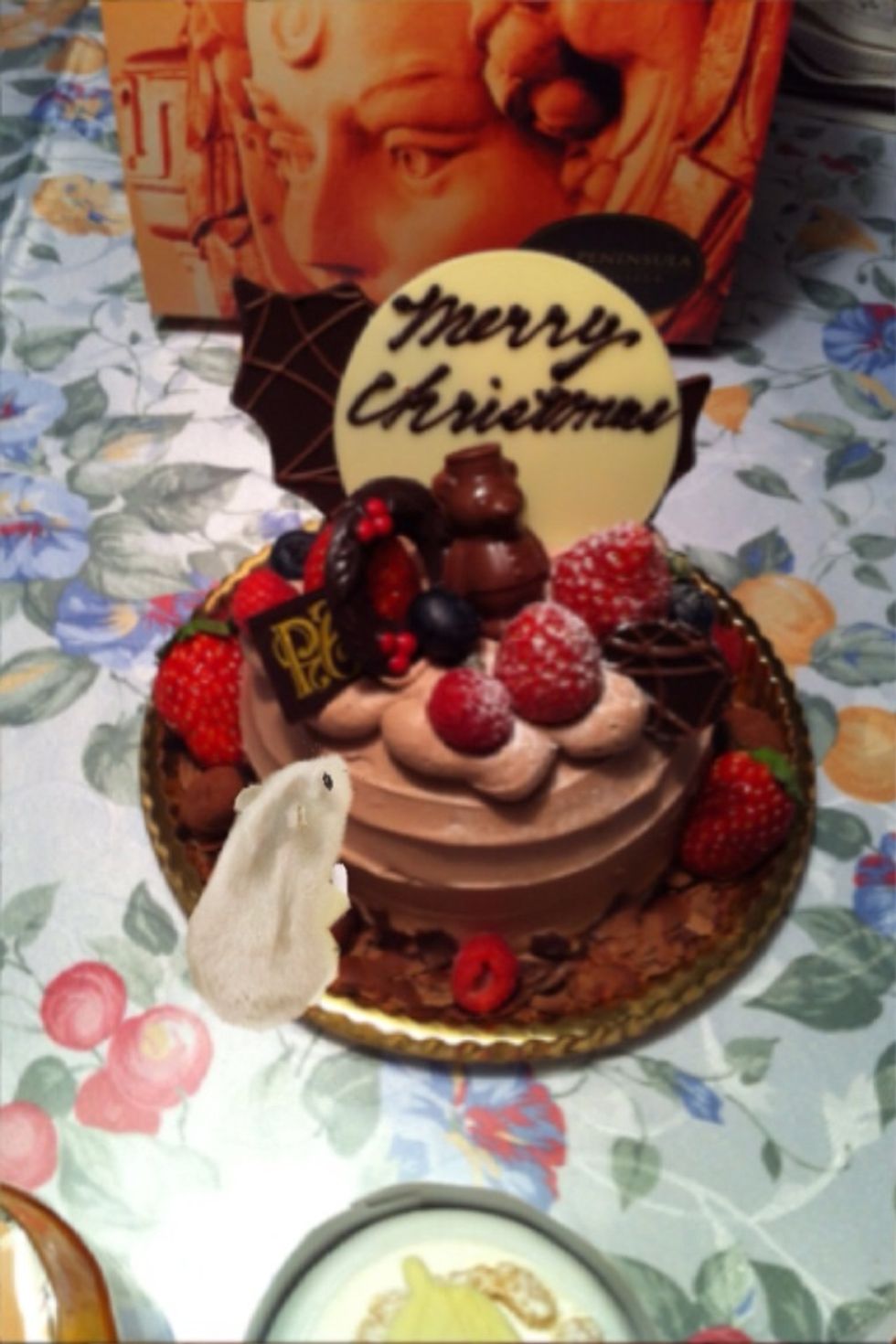 \u30b3\u30e9\u3082\u3067\u304d\u307e\u3059\u3002\u30cf\u30e0\u597d\u304d\u306e\u30c4\u30dc\u62bc\u3055\u3048\u3059\u304ew