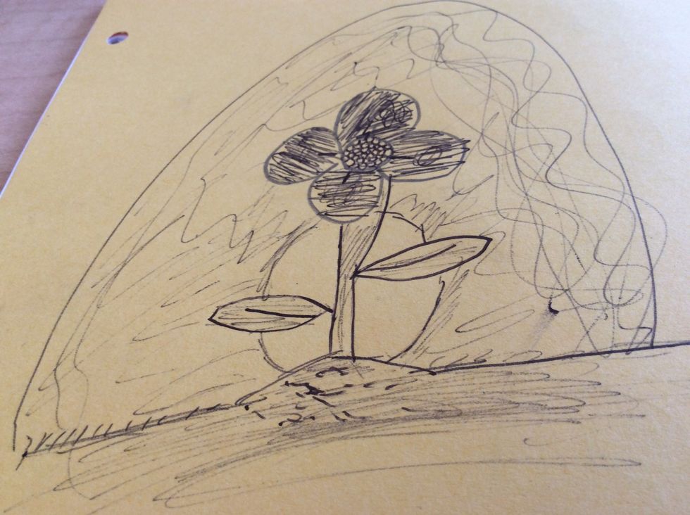 \ud83c\udf3a flowe