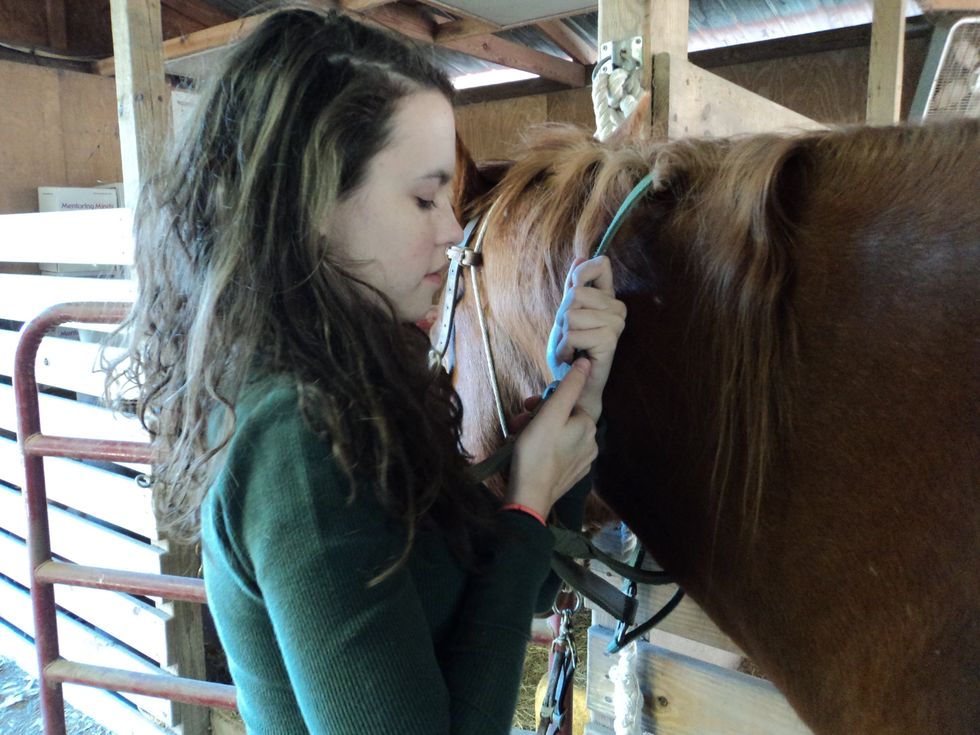 Unbuckle the halter from the horses neck.