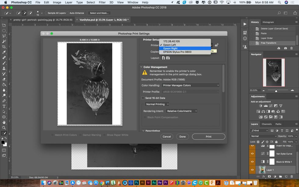 Under printer select either of the Epson printers left or right.