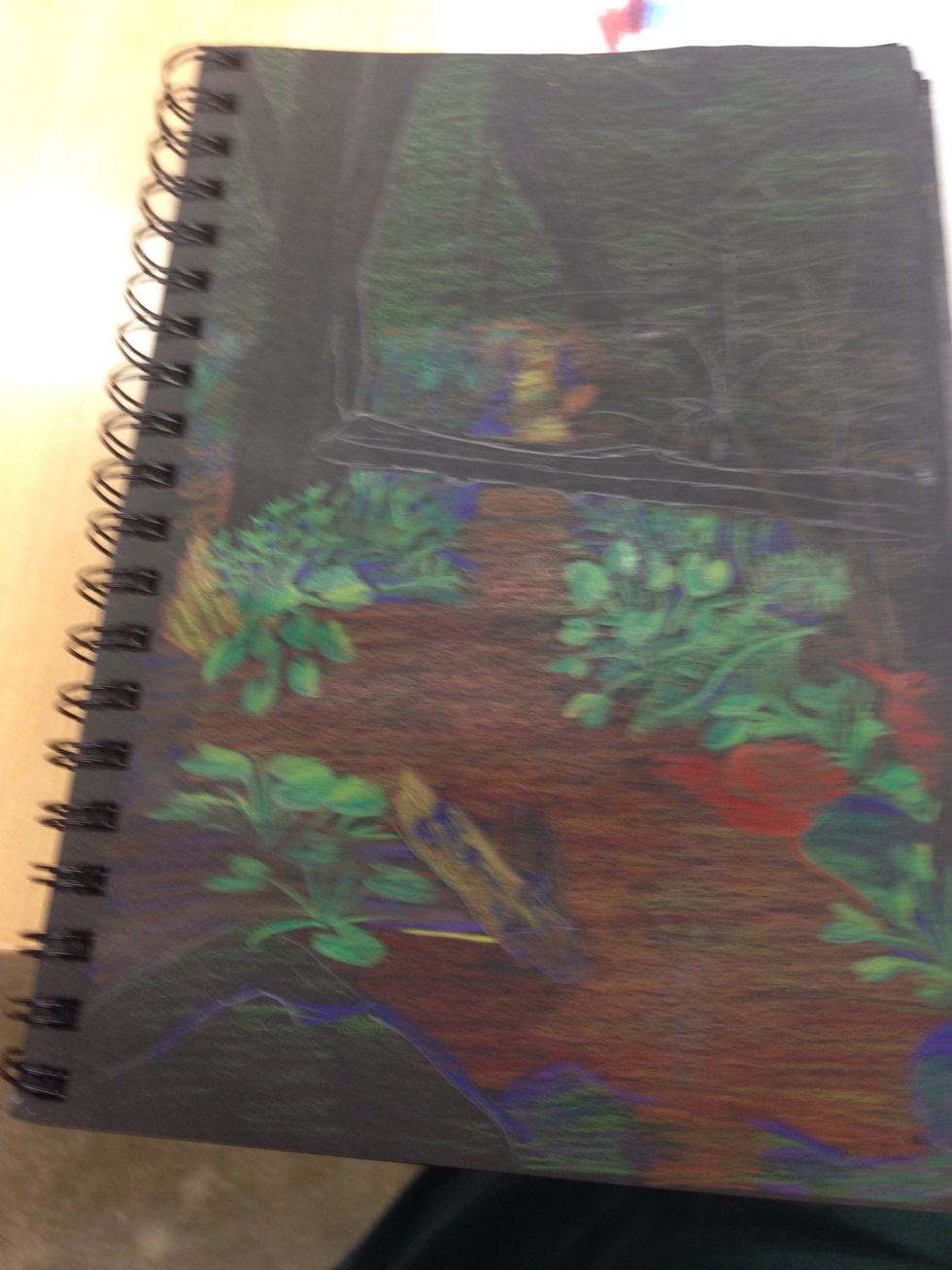 Unfinished colored pencil drawing