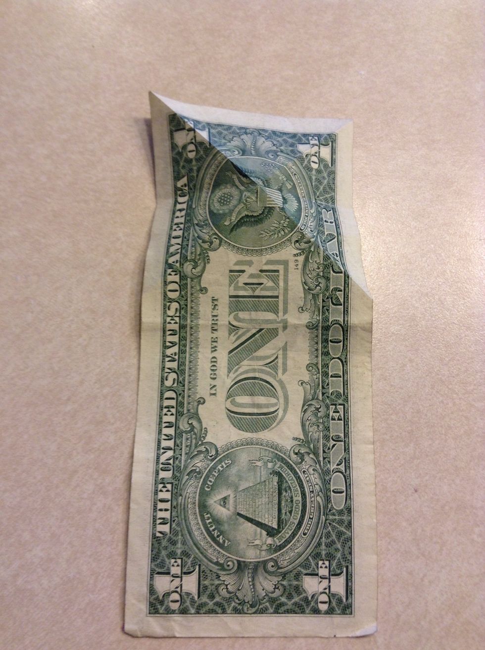 Unfold and flip the dollar over