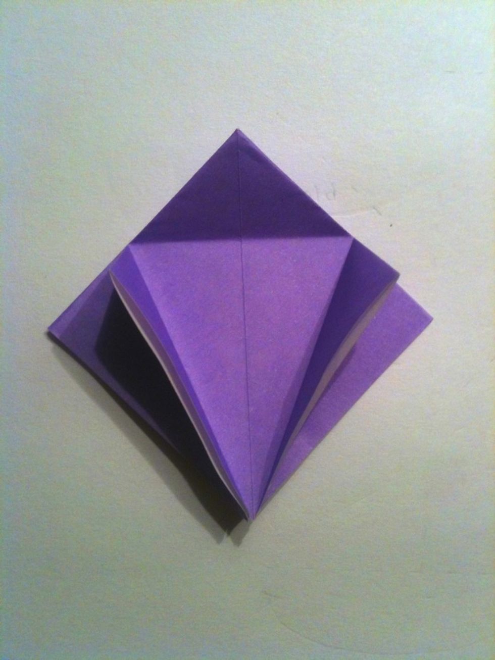 Unfold the last two previous steps.